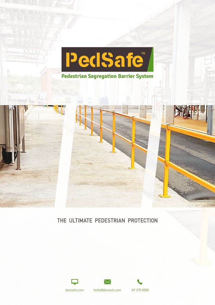 thumbnail of pedsafe_brochure